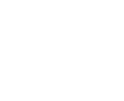 dtse logo